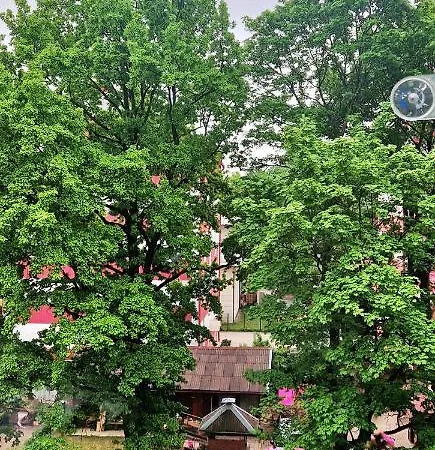 Brassy Dzīvoklis Riga